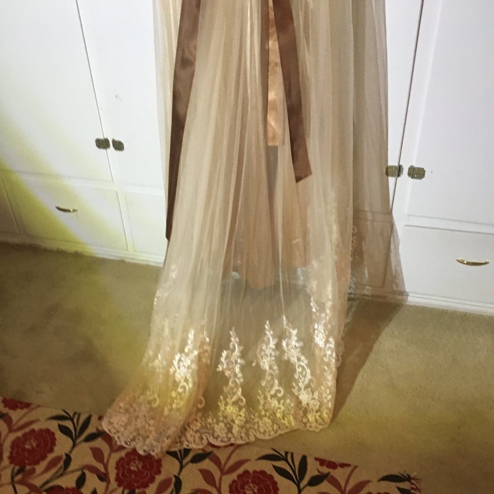 Cream Colored Wedding/ Bridesmaid/Prom Gown - Picture 8 of 16